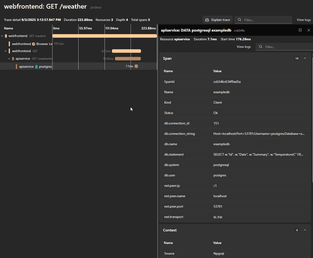Traces detailed view showing specific details of the database call
